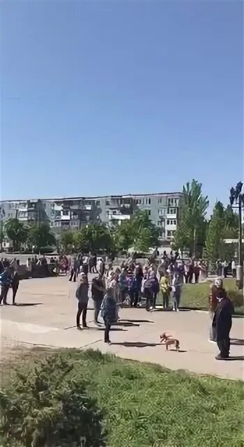 Энергодар бердянск. Энергодар бердянск