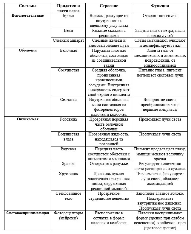 Таблица части глаза строение функции 8 класс биология. Строение глаза и их функции таблица. Таблица по биологии оболочка глаза строение функции. Таблица по биологии система глаза строение функции. Таблица по биологии анализаторы