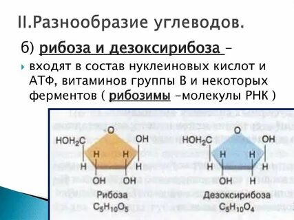 Углевод входящий в состав