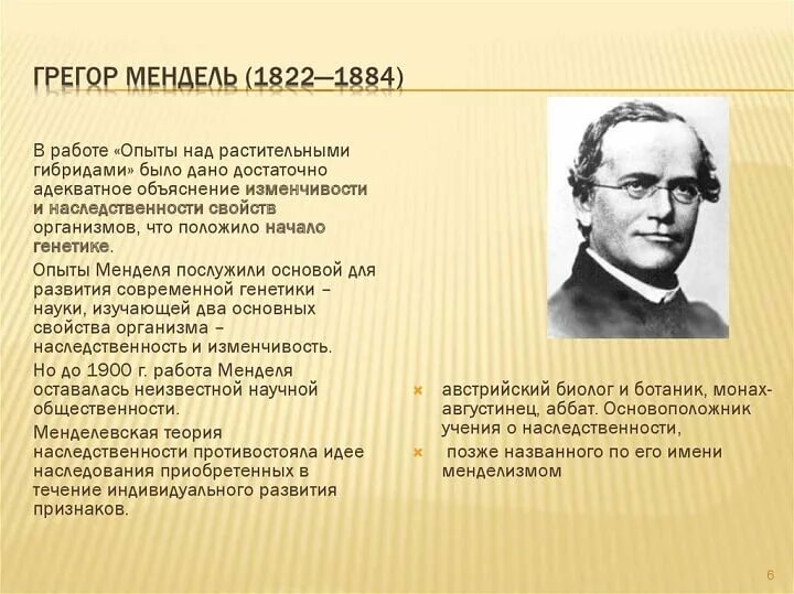 Создатель генетики. Грегор Мендель генетика кратко. Грегор Иоганн Мендель вклад в генетику. Открытия Менделя в генетике. Мендель генетика.