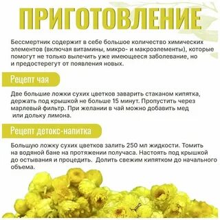 Цветы бессмертника инструкция