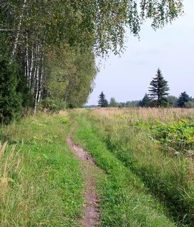 Лосиный остров ландшафт