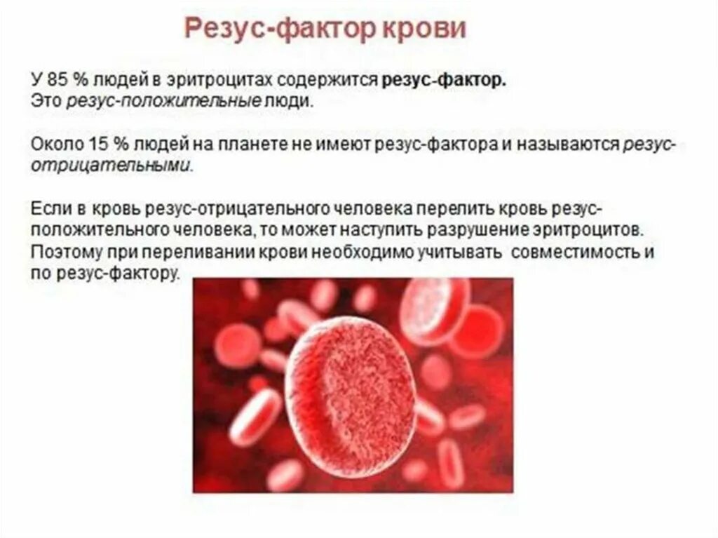 Поменялся резус фактор крови. Система крови человека. Резус система крови. Фенотипы эритроцитов системы резус. Антигены эритроцитов системы резус.