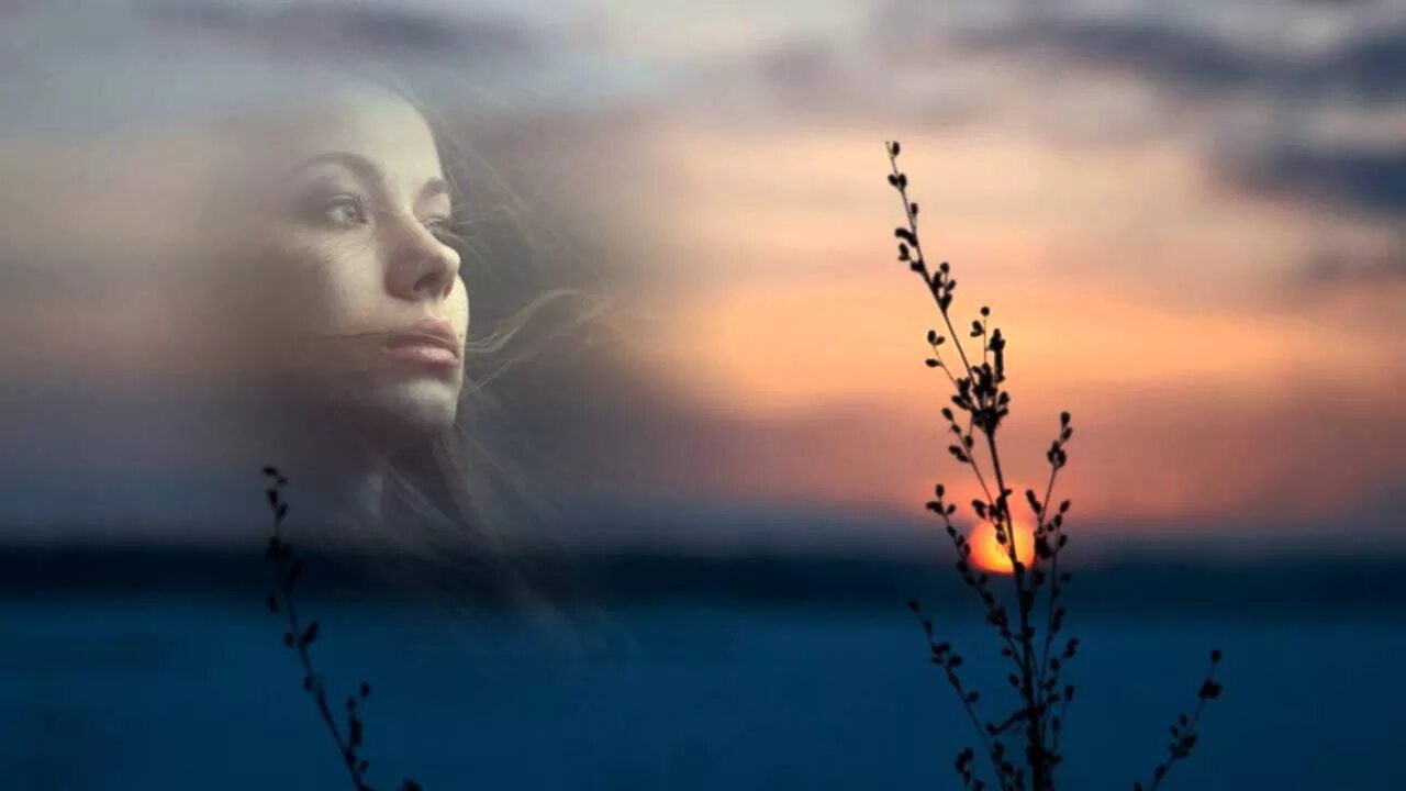 Песня полынью