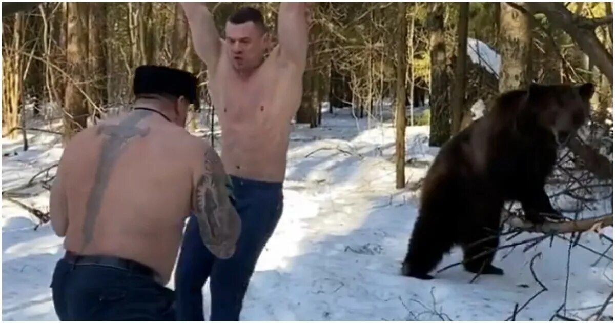 Мужчина медведь видео. Парень медведь. Мужик и медведь. Два мужика и медведь. Русский мужик с медведем.
