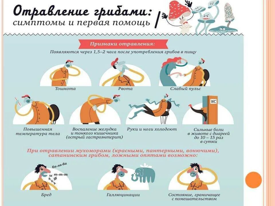 Через сколько дней человек умирает без еды
