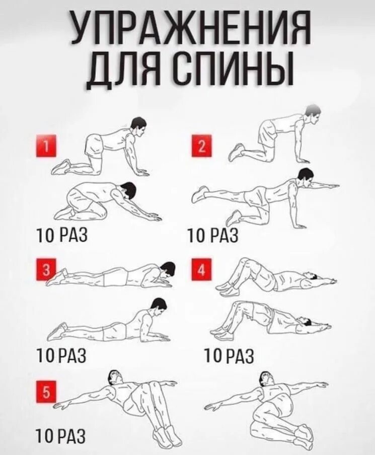 Тренировка без инвентаря. Тренировка спины в домашних условиях. упражнения на спину в домашних условиях. упражнения на укрепление мышц спины в домашних условиях. комплекс упражнений для спины дома.