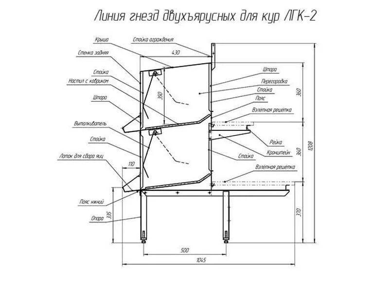 Куриные гнезда с яйцесборником. Гнездо для кур с яйцеприемником с чертежами. Гнёзда для кур несушек с яйцесборником чертежи. Гнездо для кур с яйцесборником Размеры. Чертеж гнезда для кур несушек Размеры.
