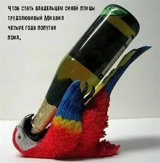 Птица выпил
