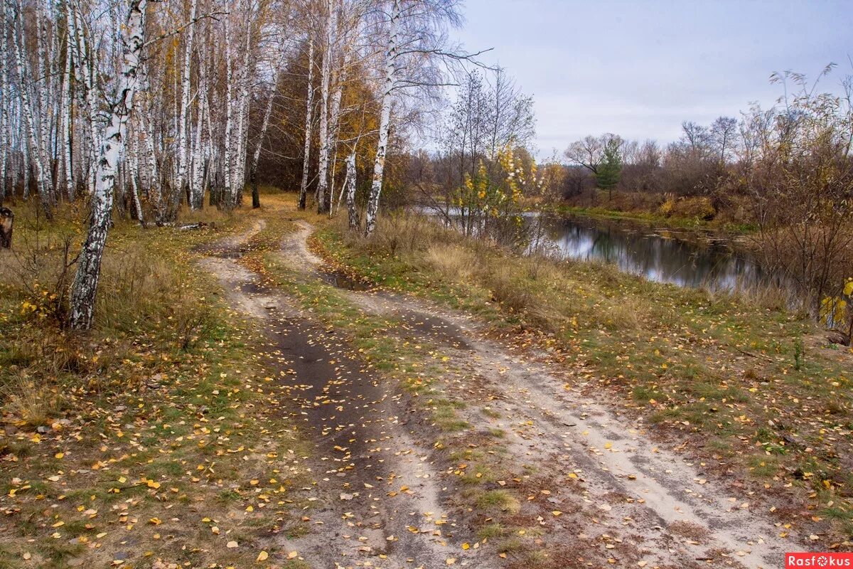 Поздняя осень в деревне. Осенняя тропинка в деревне. Поздняя осень дорога в деревне. Осенняя деревенская дорога. Осень дорога в деревне