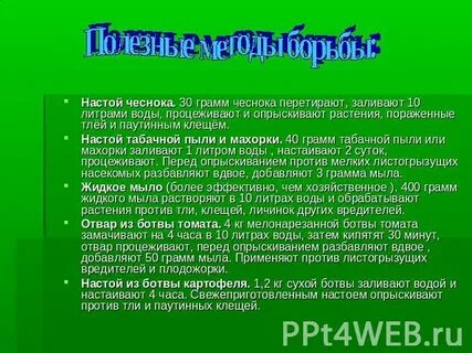 Полить настоем чеснока
