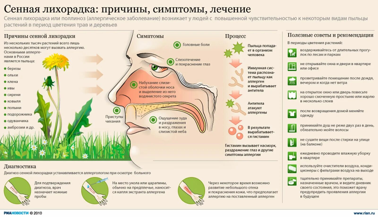 Сенная лихорадка поллиноз симптомы. Сенная лихорадка Тип аллергической. Аллергия на пыльцу. Сенная лихорадка причины. Иммунный глаз