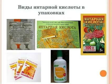 Можно подкормить цветы янтарной кислотой