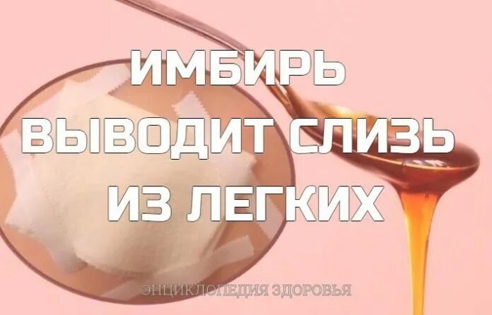 Вывод мокроты из легких. Имбирь для выведения мокроты. Имбирь для выведения слизи из организма. Выведение мокроты из организма. Имбирь для вывода мокроты из легких.