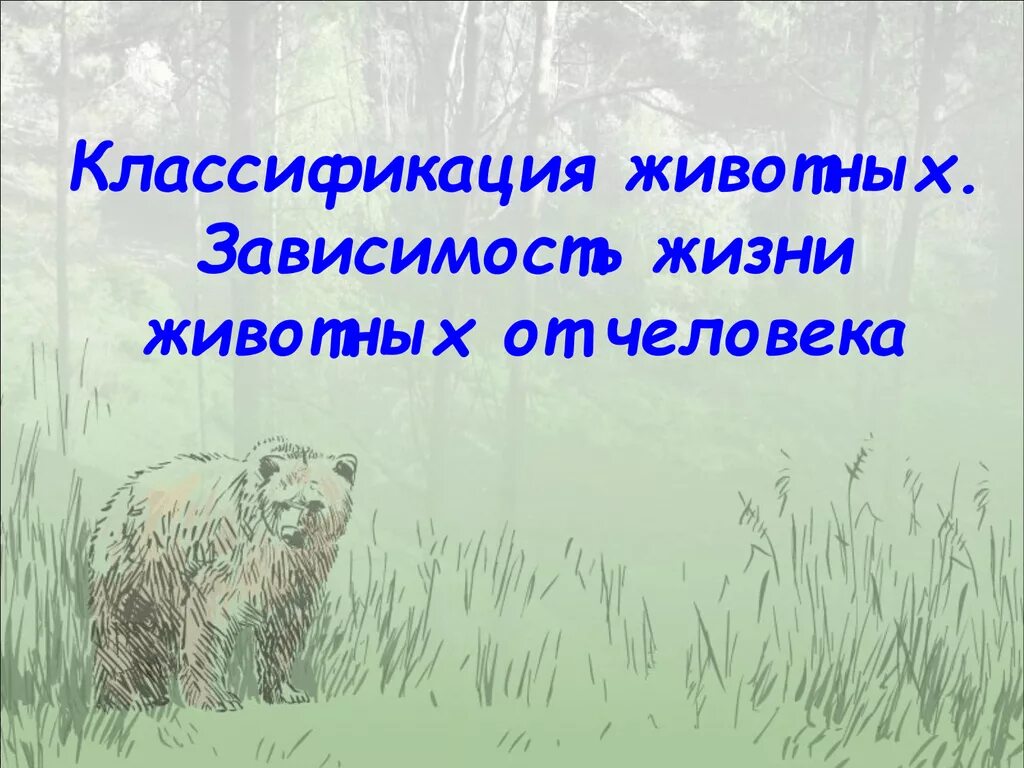 Разнообразие животных зависит от типа. Классификация животных. классификация животных человек. зависимость человека от животных. классификация животных влияние животных. на человека.