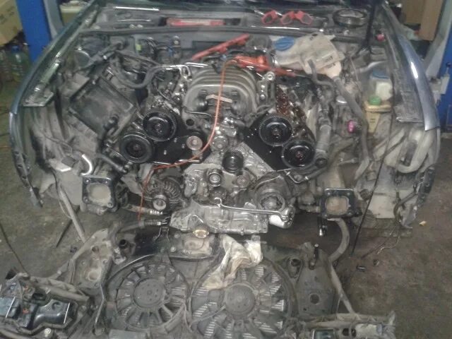 Ауди а6 с6 3. 0 бензин. 0 bbj 037906283c. 0 бензин. Двигатель asn 3.