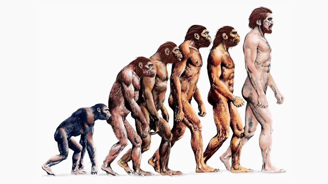Жизни путем эволюции