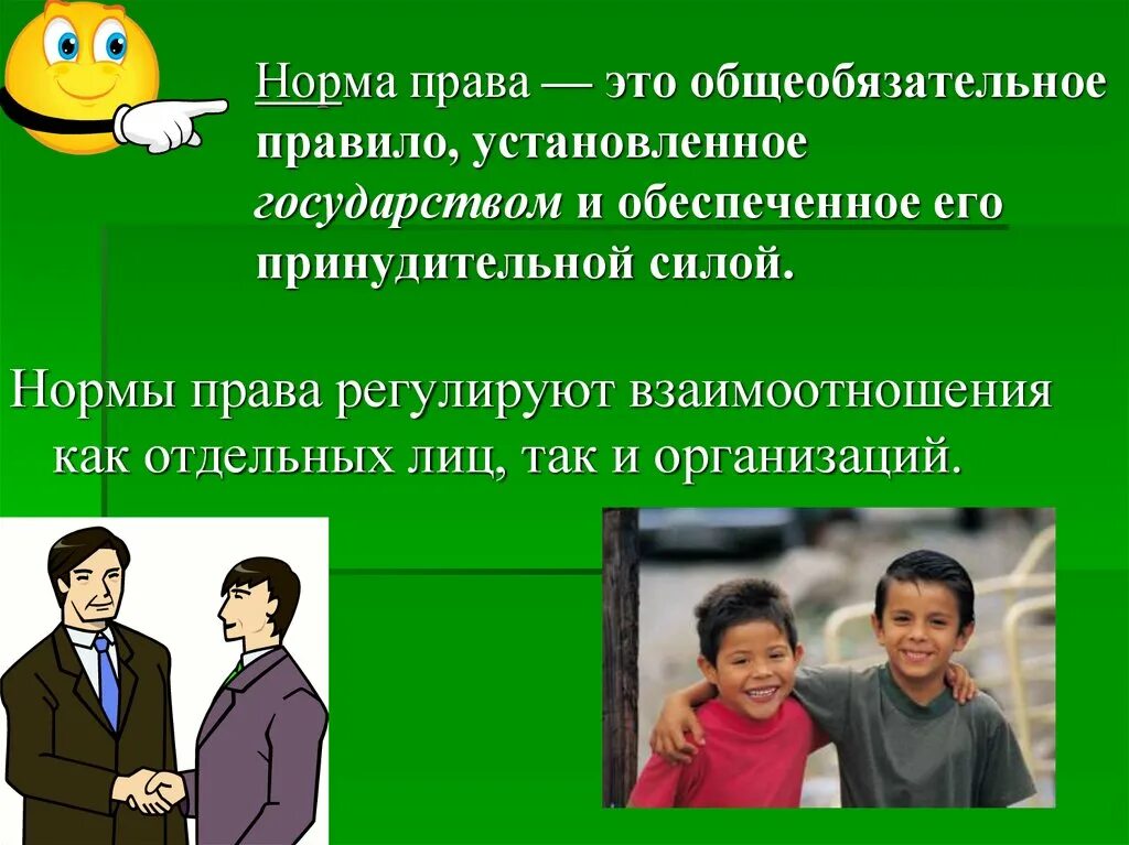 Общеобязательных правил поведения норм. Общеобязательных правил поведения норм