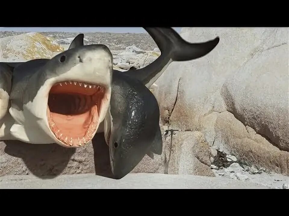 Нападение шестиглавой акулы 2018. Нападение шестиглавой акулы (2018) 6-headed Shark Attack девушки.