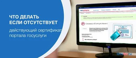 Сертификат на вид на госуслугах