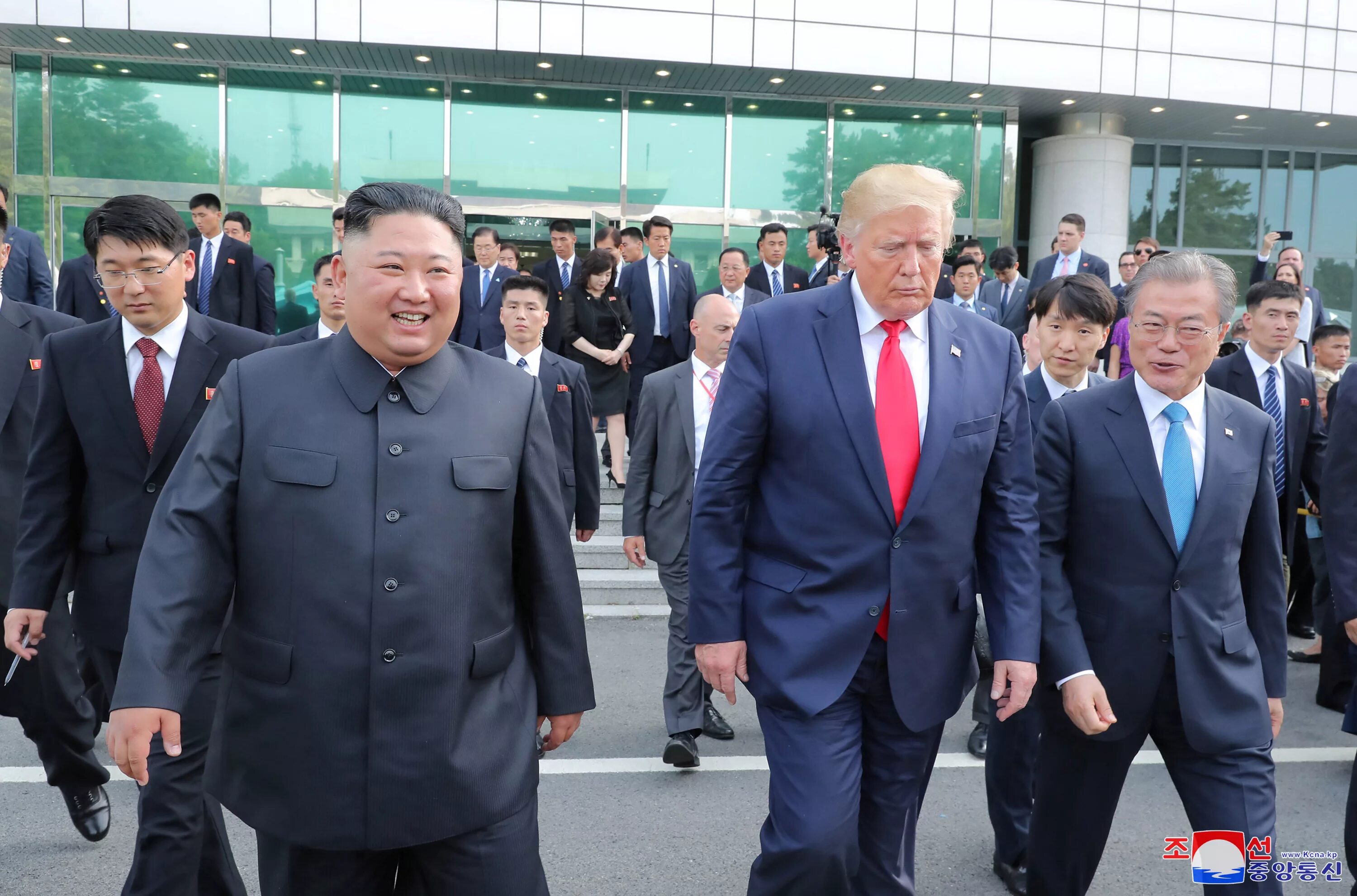 Трамп в кндр. Трамп в кндр