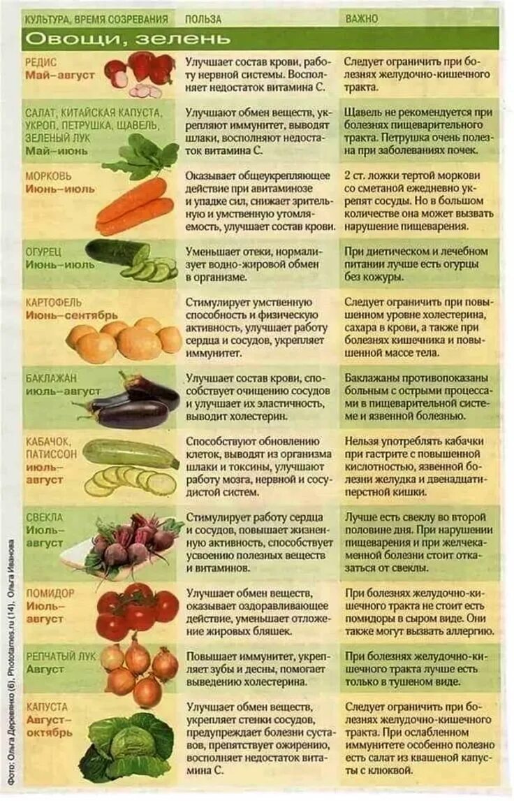Какие овощи на гв. Полезные сырые овощи. Польза овощей для организма. Таблица полезных овощей и фруктов. Овощи в прикорм до года.