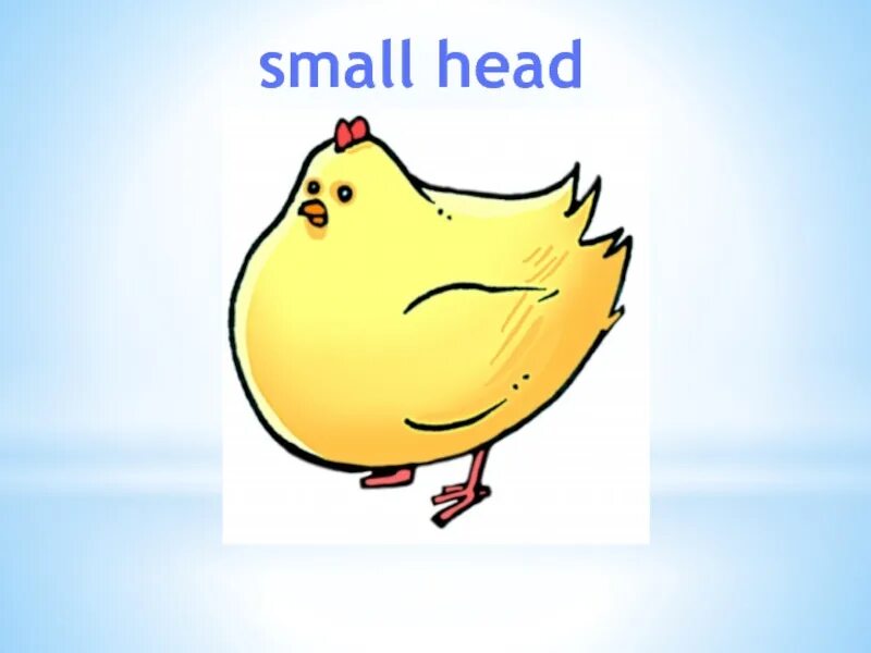 Small head reddit. Как будет по русски small head. Giraffe множественное число в английском языке. Small nose animals рисунок. Has a small head.