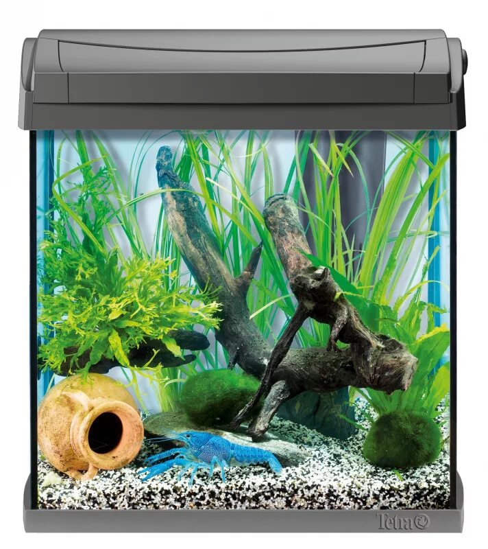 Купить рыбок тетра. Аквариум тетра 30 л. Аквариум Tetra 30л. Tetra AQUAART Aquarium 30 l. Аквариум Tetra AQUAART 30л.