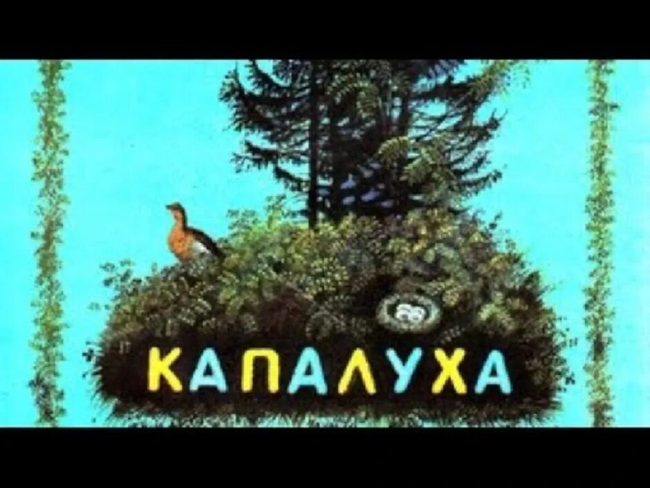 Капалуха автор 3 класс. Капалуха автор 3 класс. Капалуха 3. Капалуха 3. Капалуха 3.