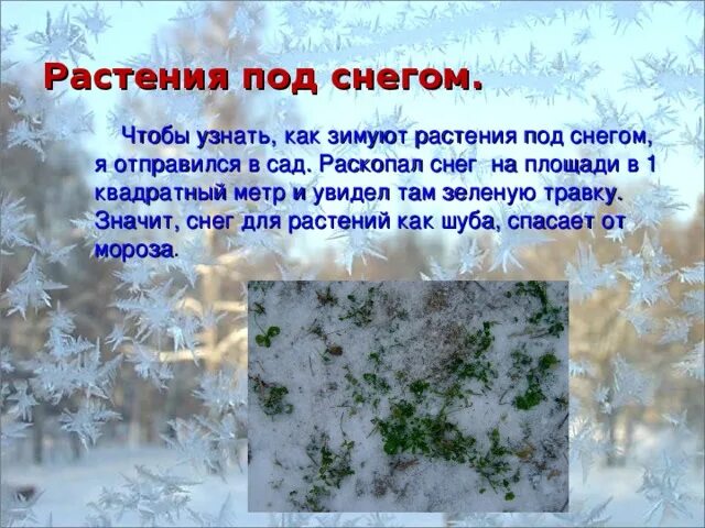 Почему зимний