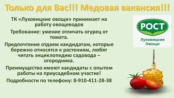 В Луховицах строится тепличный комплекс за 9 млрд рублей