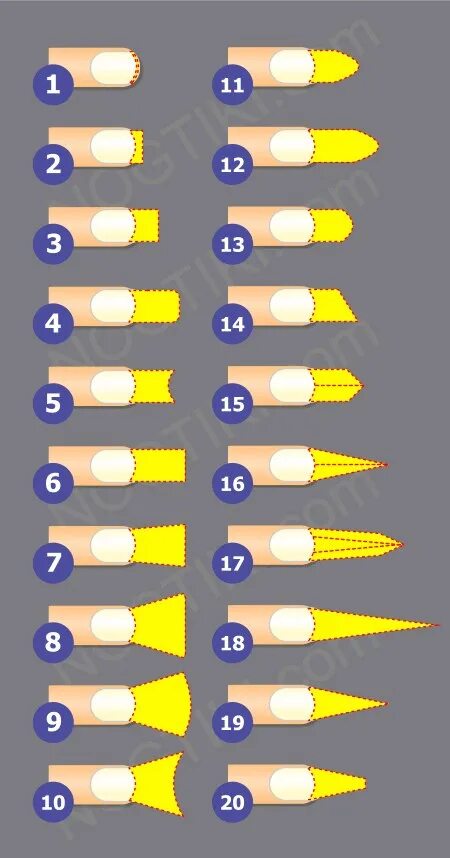 Длина ногтей для наращивания таблица. Размеры ногтей для наращивания таблица. Наращивание ногтей Размеры. Разркры нарощенных ногтей. Номера наращивания ногтей