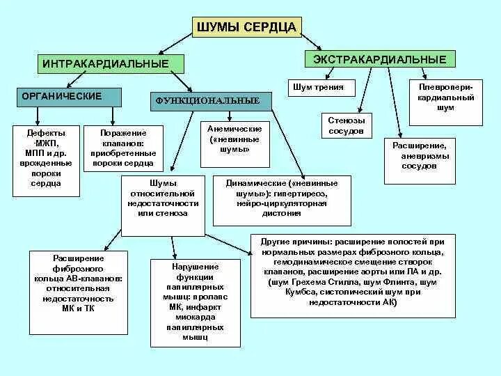 Причины появления шумов. Сердечные шумы классификация. Причины шумов в сердце. Классификация шумов шум сердца. Виды функциональных шумов сердца.