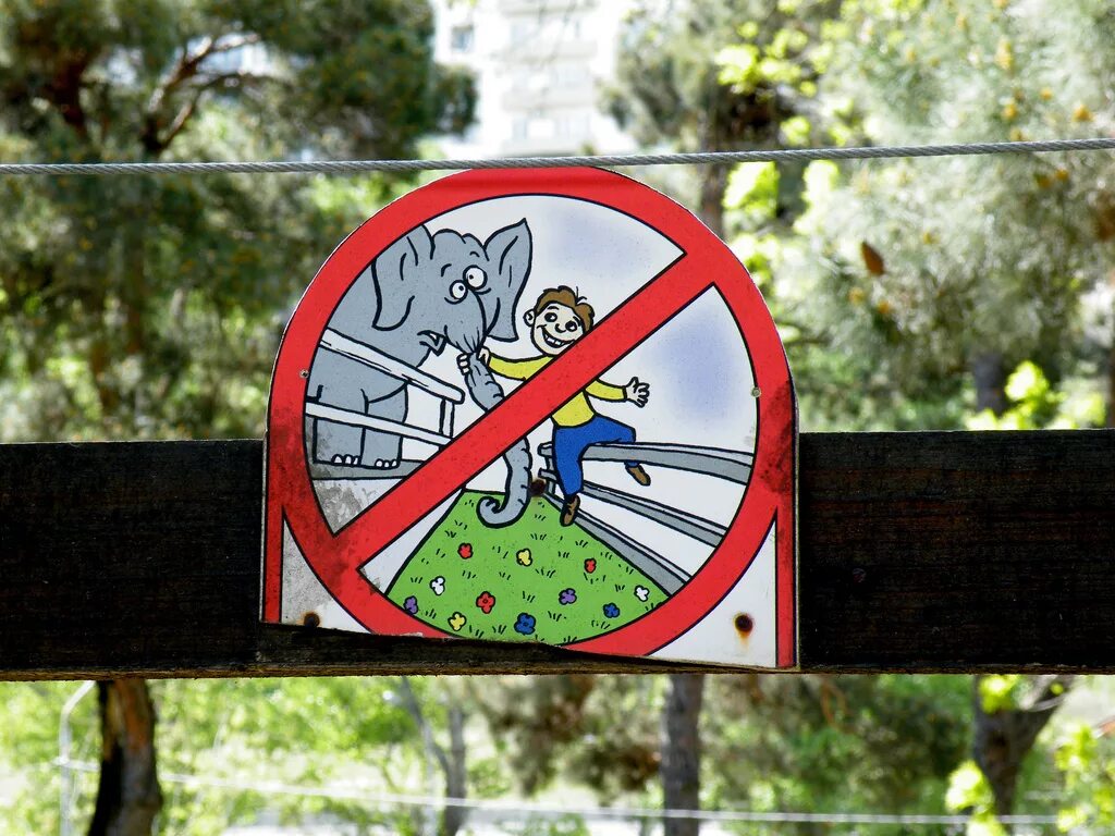 Животные в клетке в зоопарке. Анимал зоопарк энимал. Запрет зоопарков. Знаки в зоопарке. Животные клетки.