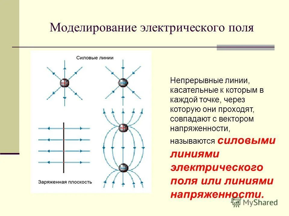 Каково направление линий напряженности