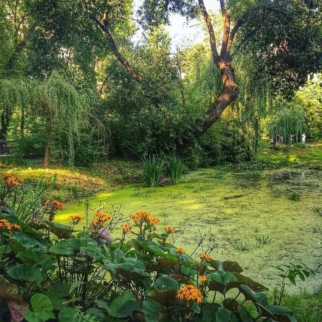 Сады цао. Сад эрмитаж театр эрмитаж москва. Парк сад эрмитаж в москве. Ботсад мгу проспект мира. Парк эрмитаж в москве.