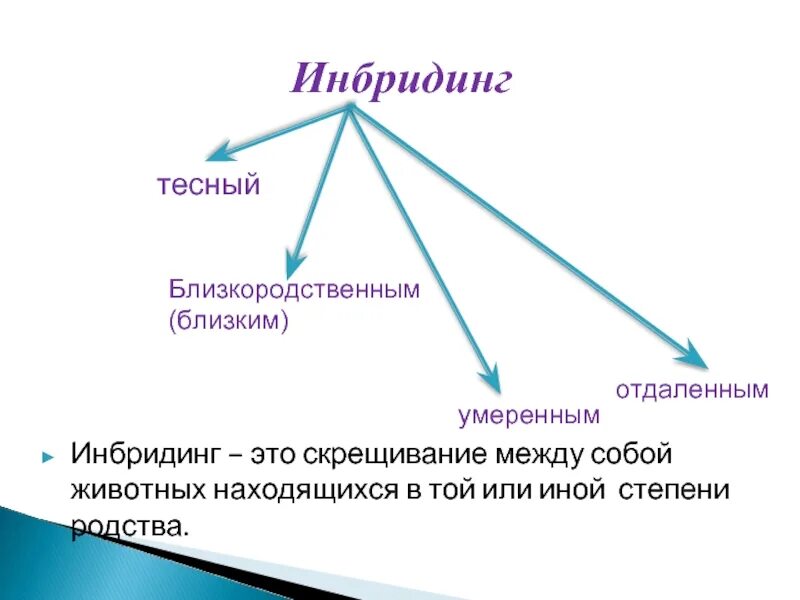 Гибридизация близкородственное скрещивание. Инбридинг. Классификация инбридинга. Инбридинг примеры. Инбридинг это в биологии.