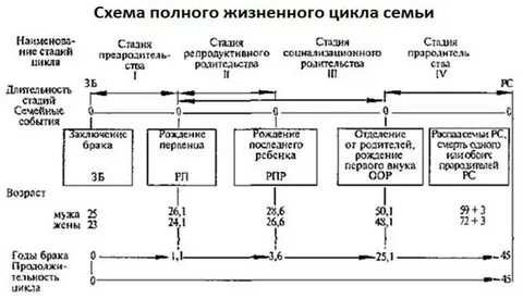 Цикл 7 схема