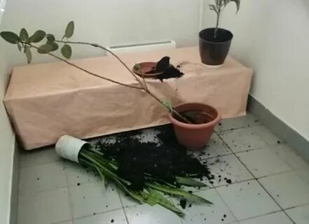 И упала на пол переклеенная ваза