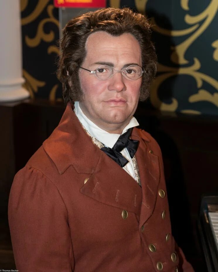 Franz schubert. Франц шуберт. петер шуберт. франц петер шуберт. шуберт (schubert) франц.