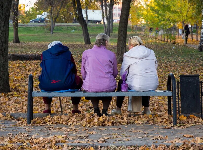 Остановитесь бабушки. Бабушки на лавочке. Бабульки на скамейке. Бабушка на скамейке в парке. Бабки на лавке.