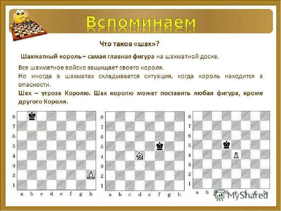 Правила игры chess. Правила игры в шахматы Шах королю. Ситуации на шахматной доске. Размер шахматной клетки. Задания по шахматам для детей.