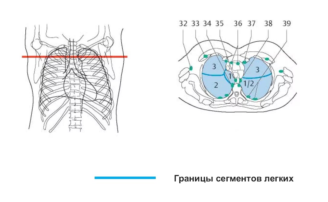 Границы сегментов