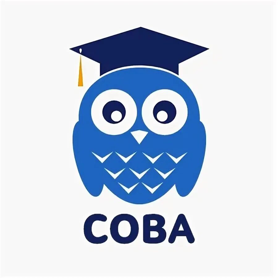 Учебный центр сова. Сова академия. мгюа сова. soff academy.