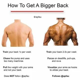 5 Back Training Myths You Probably Believe - How to Really Build a 