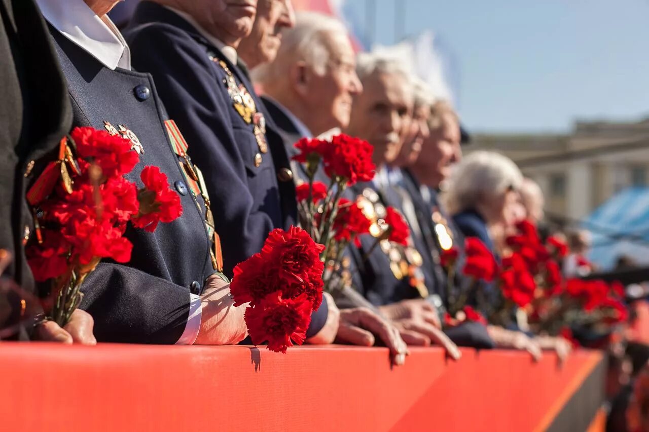 Ветеран с гвоздиками. Красные гвоздики и ветераны. День Победы ветераны. Красные гвоздики. Гвоздики день победы