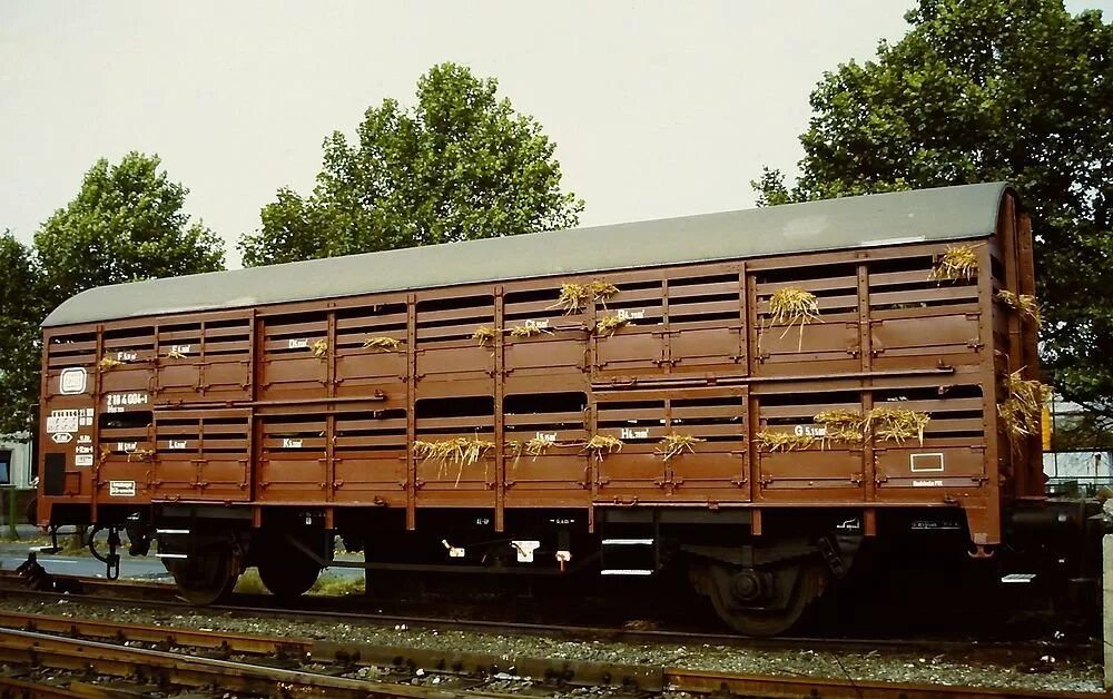 Специальные железнодорожные вагоны. Вагоны скотовозы РЖД. ЦМГВ вагон. Вагон скотовоз РЖД. Вагон в-60м2.