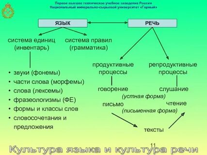 Язык и культура сообщение по русскому языку