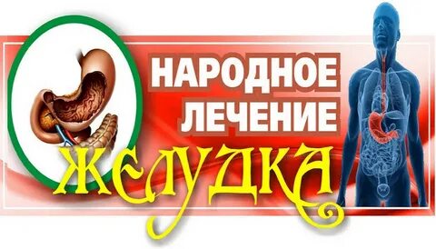 Стоит желудок лечение
