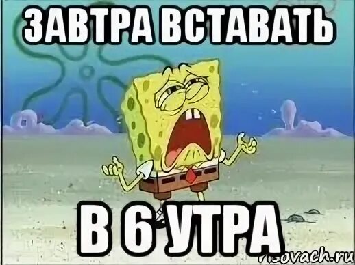 Включи завтра в 8